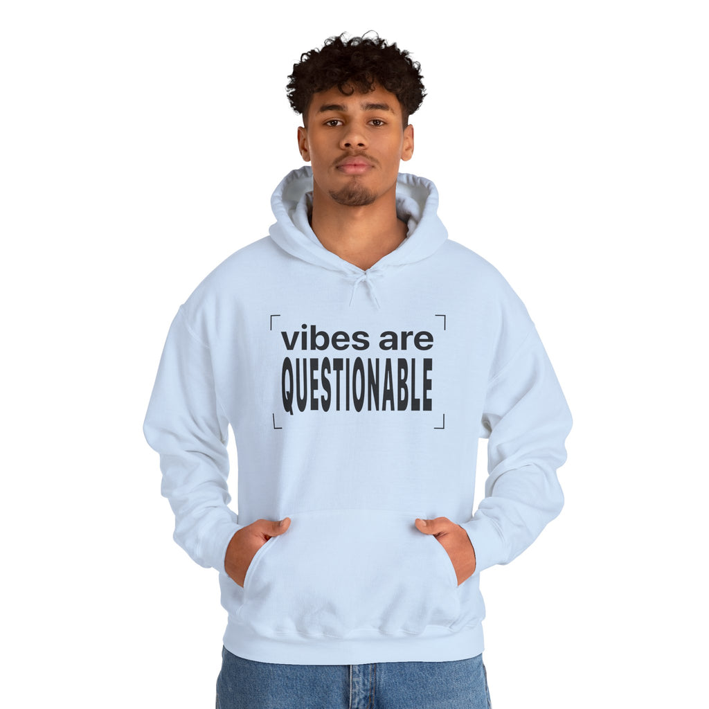 QUESTIONABLE VIBES Hoodie - Not Here for the Mood
