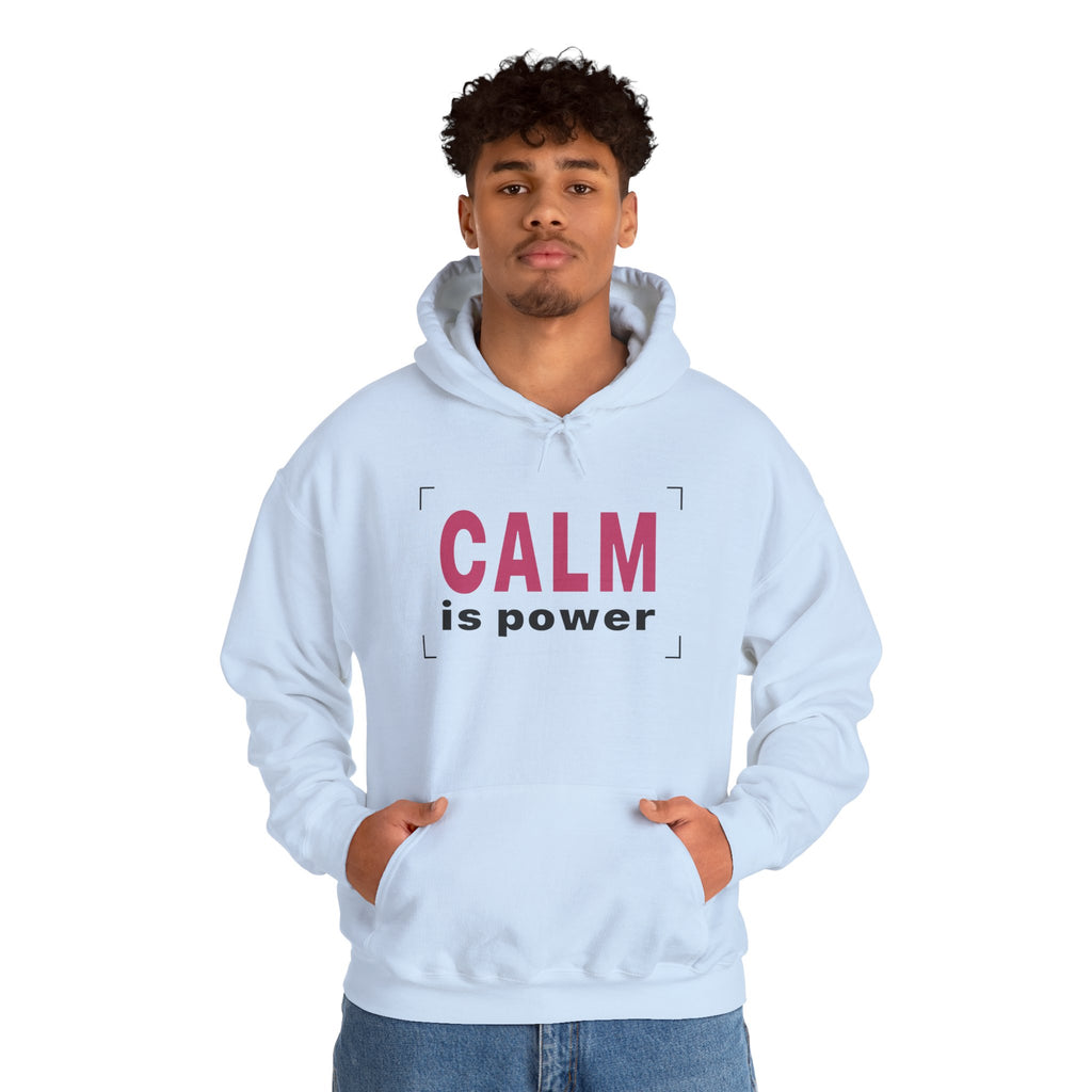 SILENT POWER Hoodie - Kimono Cat Sakura Graphic
